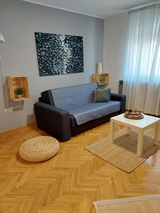 Apartman Hana Apartment Dreznik Grad Luaran gambar