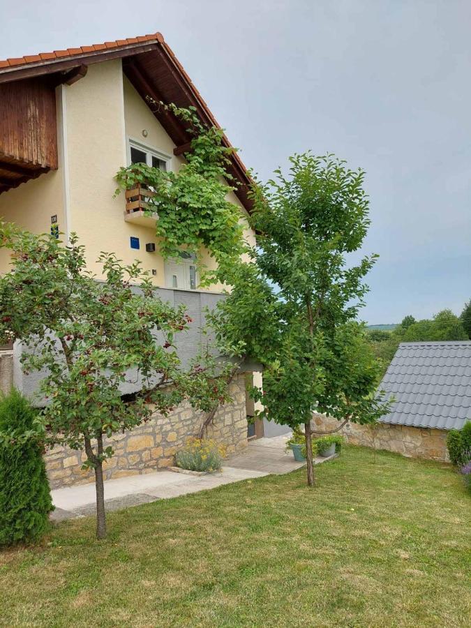 Apartman Hana Apartment Dreznik Grad Luaran gambar